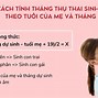 Cách Tính Thụ Thai Con Trai