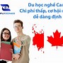 Du Học Nghề Canada Có Những Ngành Gì