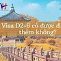 Visa Loại D Là Gì